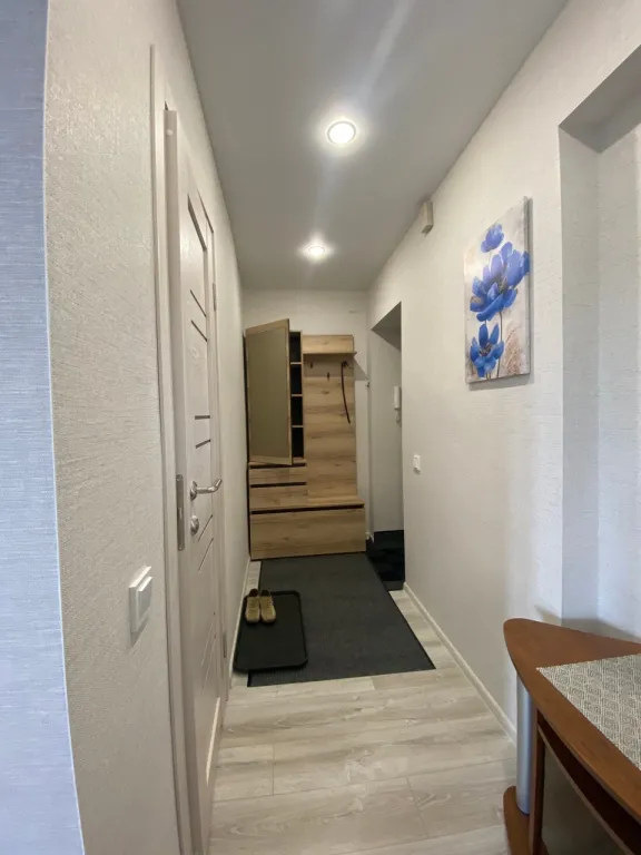 Уютная квартира, свежий ремонт, в самом центре города