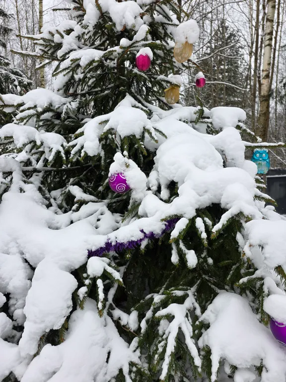 Новая сфера для глэмпинга Бёрд&Self vibe с дизайнерским интерьером