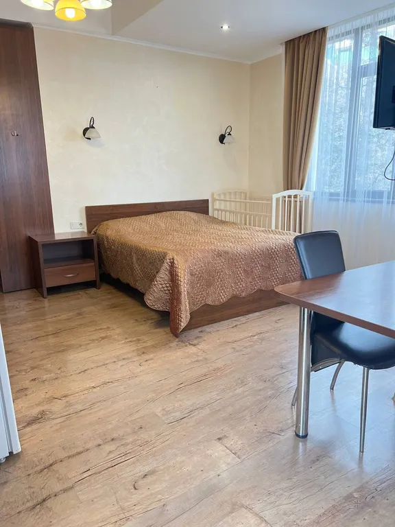 Студия с видом на горы