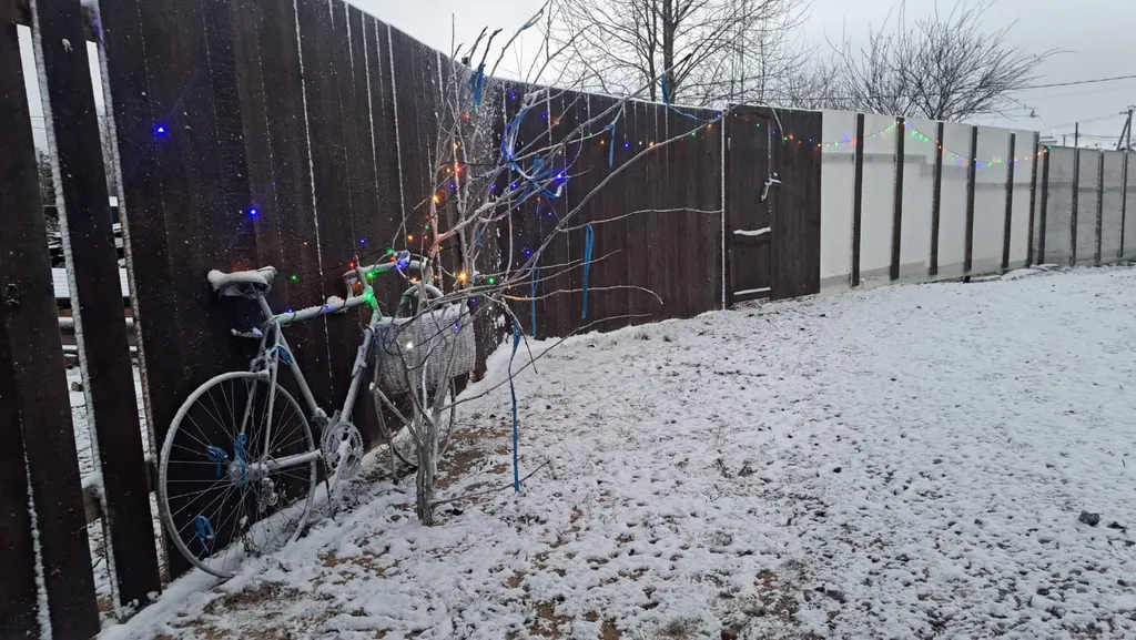 Тихий дом на берегу пруда