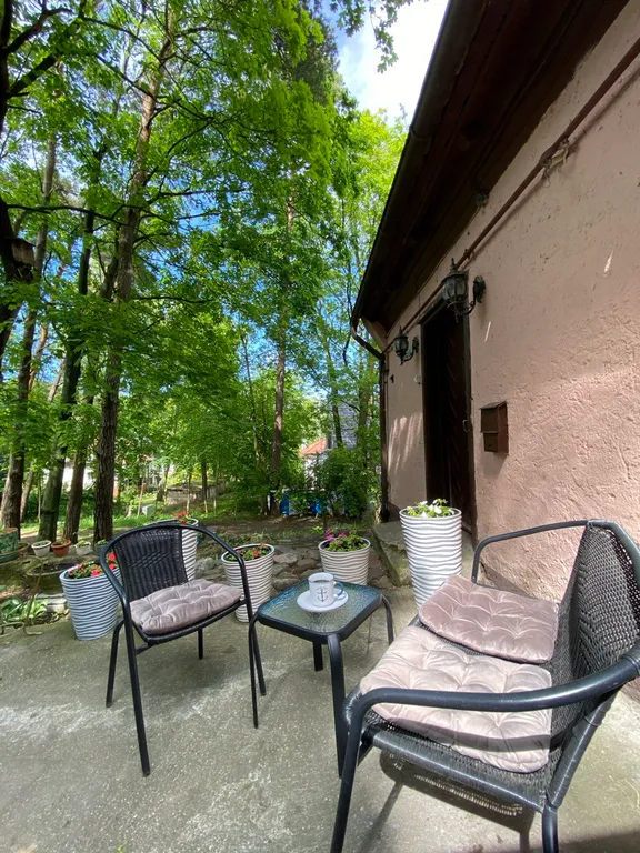 Квартира Уютная квартира в центре курортного Светлогорска — Светлогорск