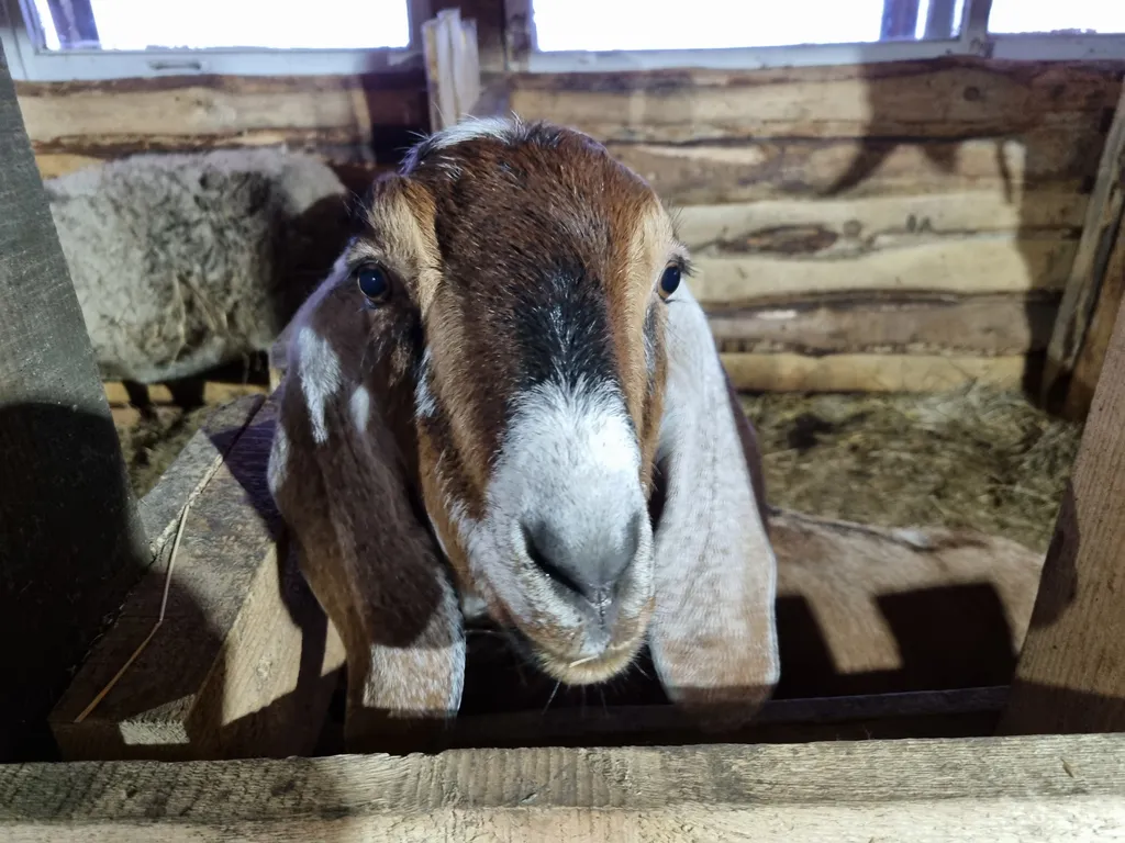 Коттедж Домик в деревне — Соколова
