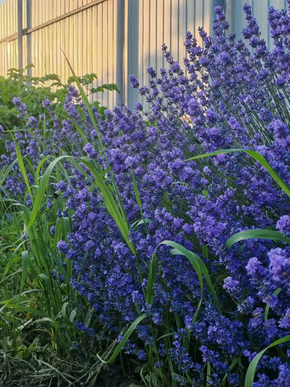 Старинный дом музей