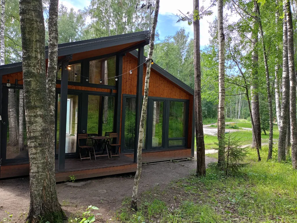 Дом с видом на лес