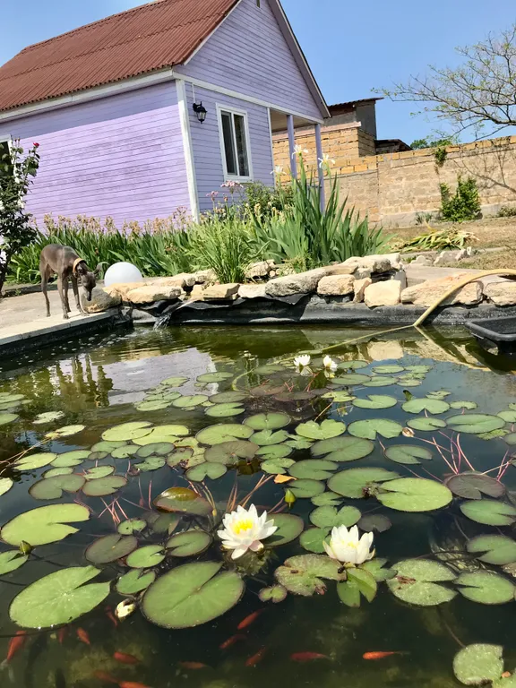 Небольшой уютный домик у пруда