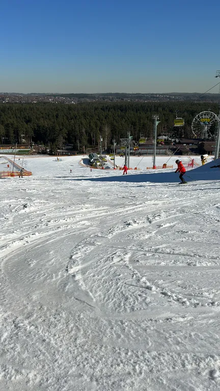 Лисья нора с сауной и террасами