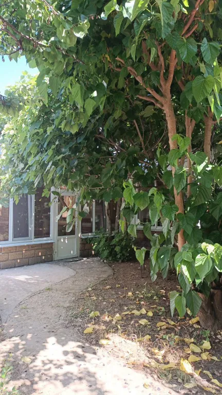 Квартира Комната — Новоотрадное