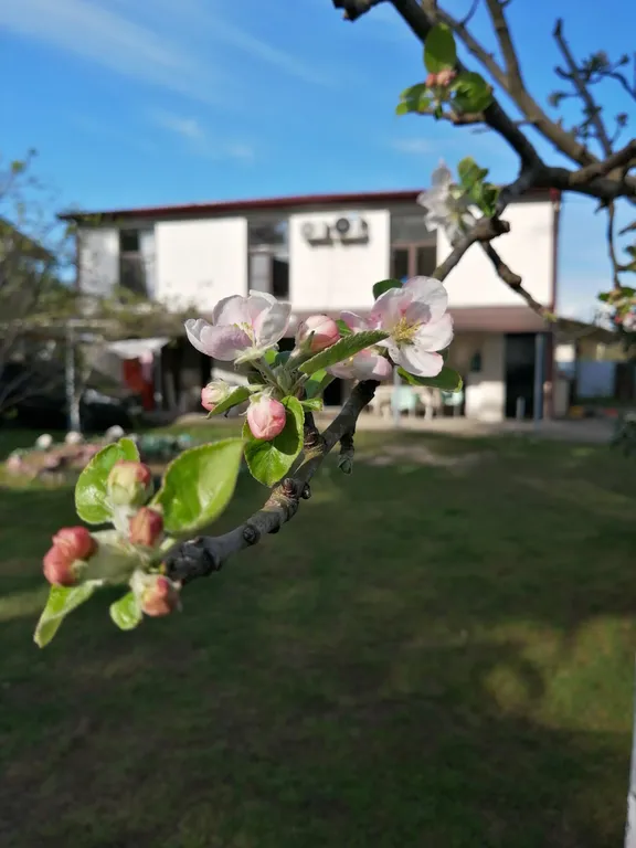 Квартира Двухкомнатные апартаменты на берегу моря — аренда посуточно в Очамчыра
