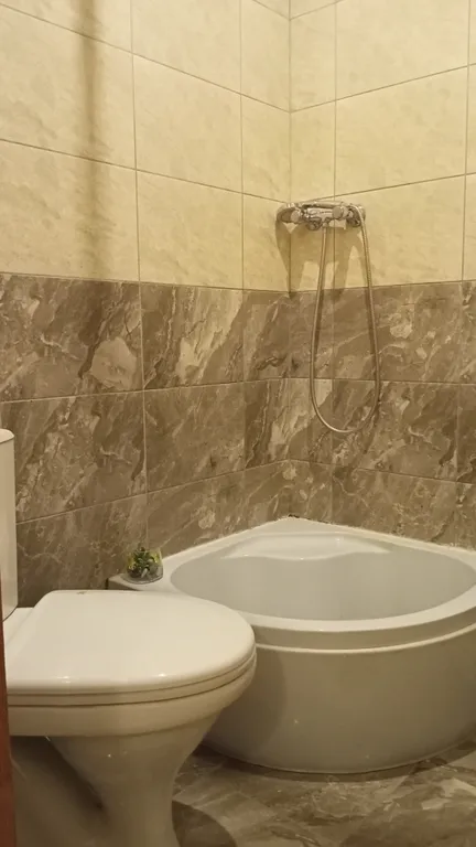 С видом на берег озера с лебедями, в историческом центре, с 1 кроватью