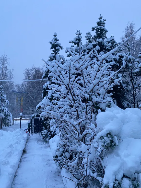Уютный загородный дом с русской баней на дровах