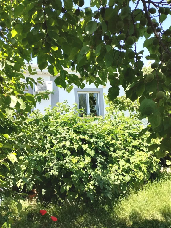 Семейный 3-х комнатный номер в тихом районе