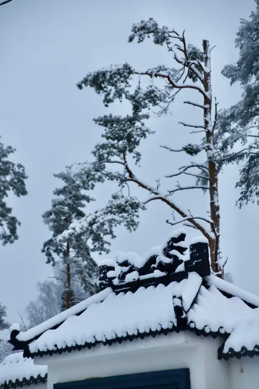 База отдыха Хэйлун Дом №2 Шанхай