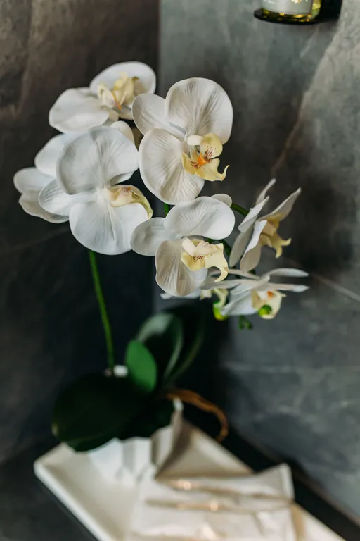 Атмосфера - апартаменты в горах Алтая