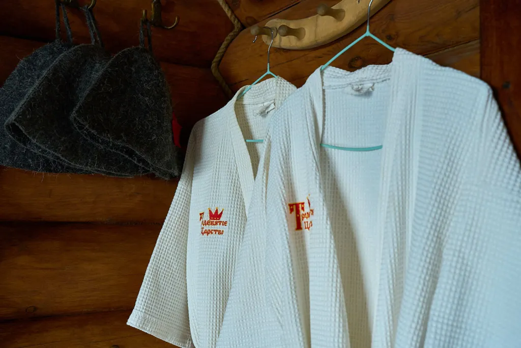 Гуси Лебеди