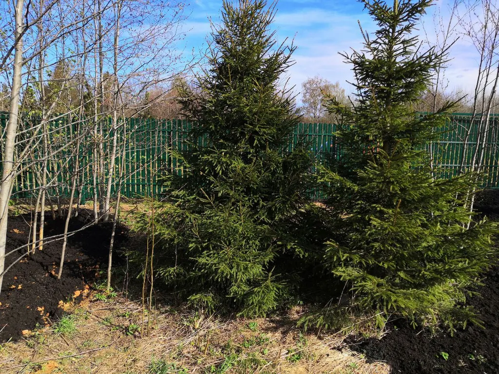 Уютный коттедж