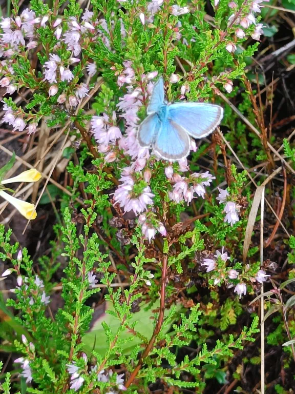 Красивый уютный дом у озера