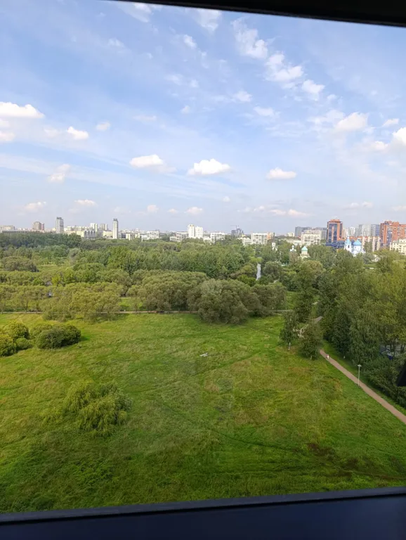 Комфортабельная однокомнатная квартира с видом на пулковский парк