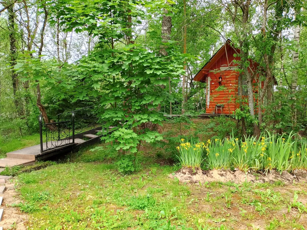 Дом с панорамным окном