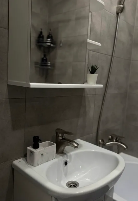 Однокомнатная квартира у Новых терм