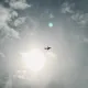 Дарья