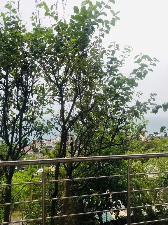 4-х местный номер с видом на море в центре