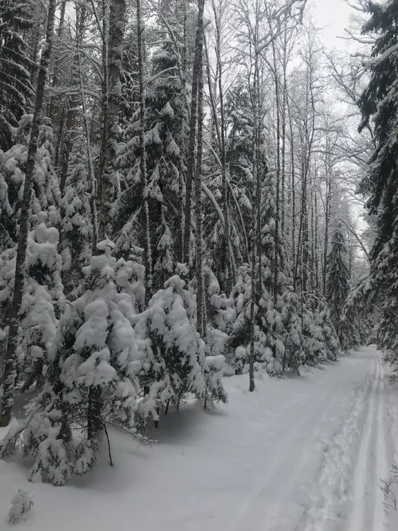 Коттедж Дом для семейного отдыха с баней — Сойкино