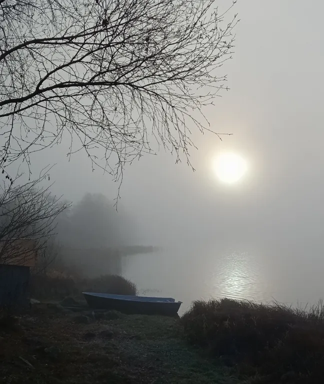 Карельский дом на берегу  озера.