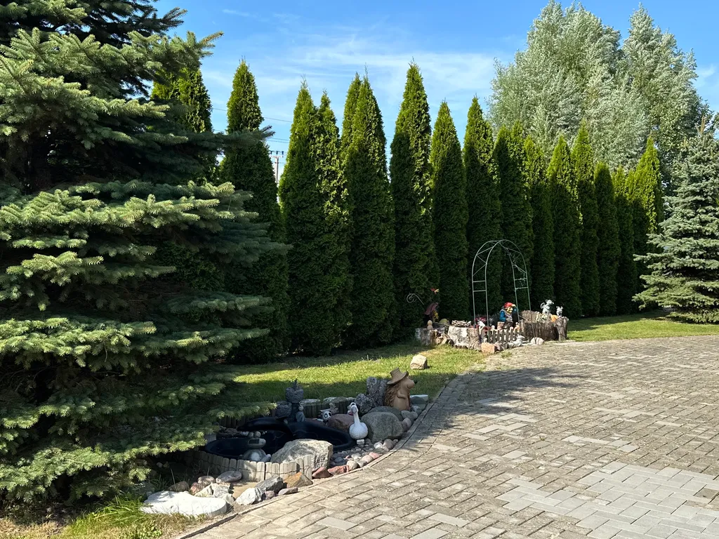 Деревянный дом изба