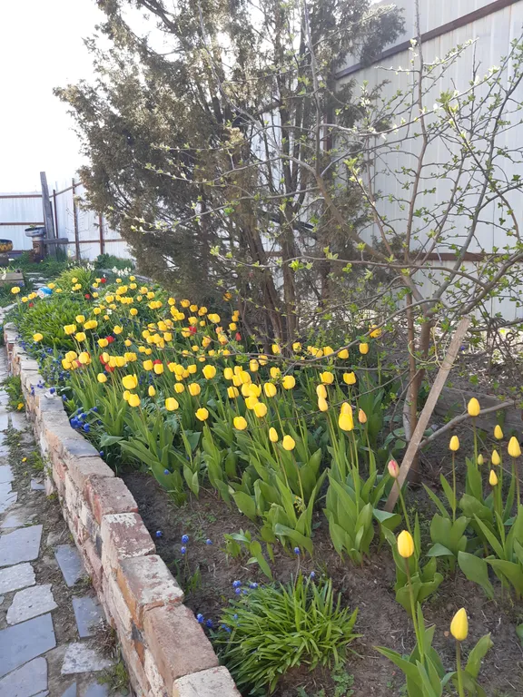 Уютный гостевой дом