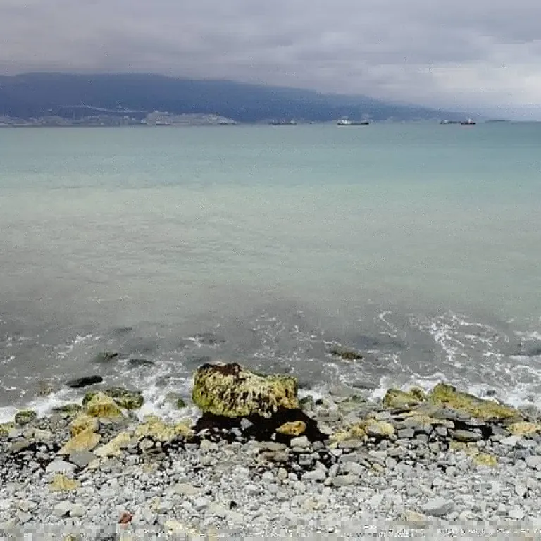 Уютная квартира с лучшим видом в городе