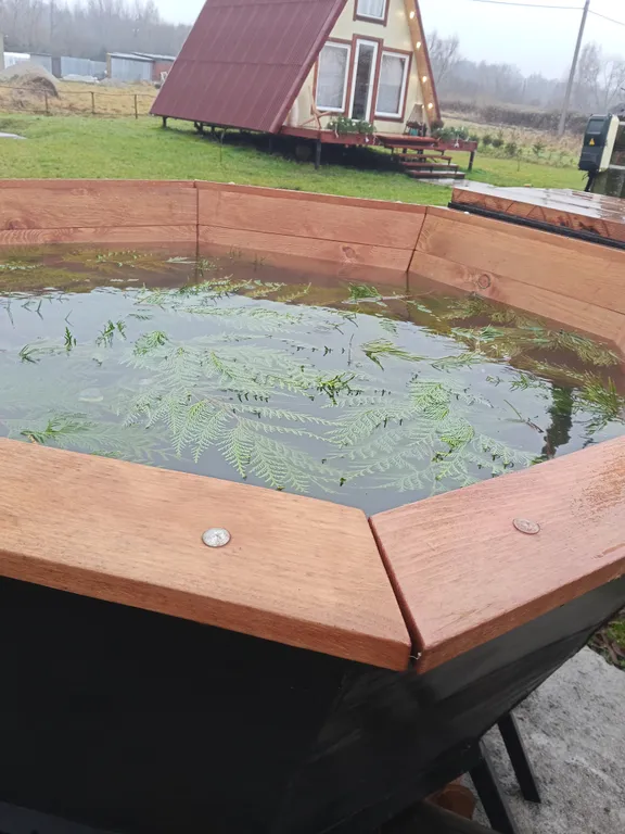 Коттедж Уютный домик А-фрейм в гостях на хуторе Фридланда — Калининград