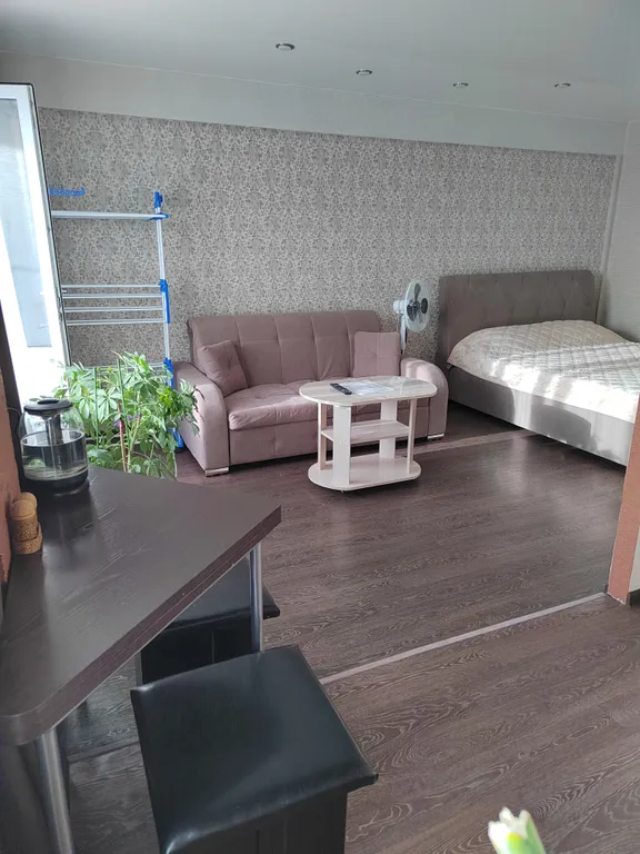 Квартира Уютная студия для отдыха и времяпровождения — аренда посуточно в Усолье-Сибирское