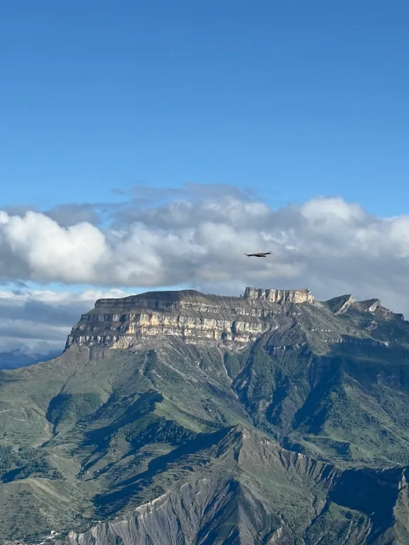 Квартира с современным ремонтом