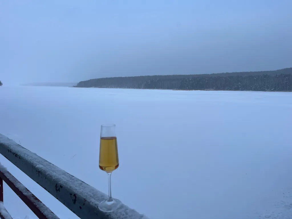 Дом 6 в лесу у реки