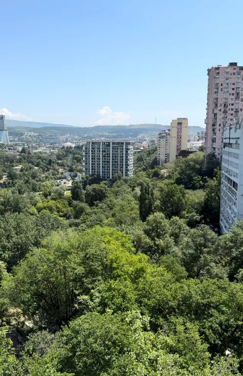 Просторная и светлая квартира у парка Мзиури