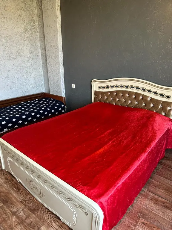 Студия в тихом районе, без комиссии, без животных