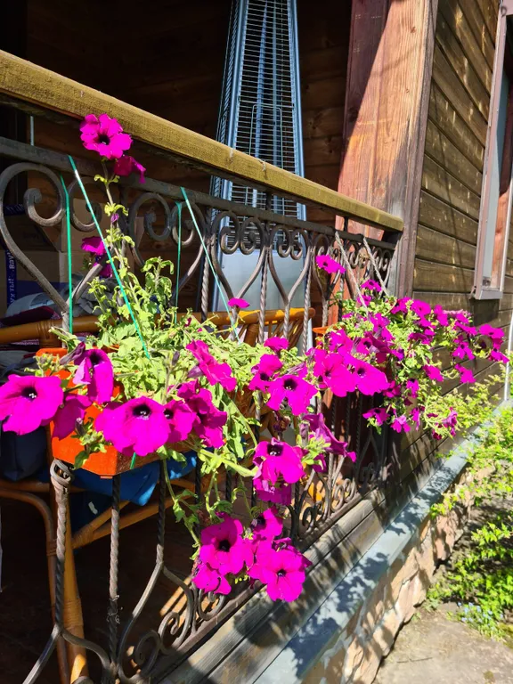 Уютный дом в рядом с лесом