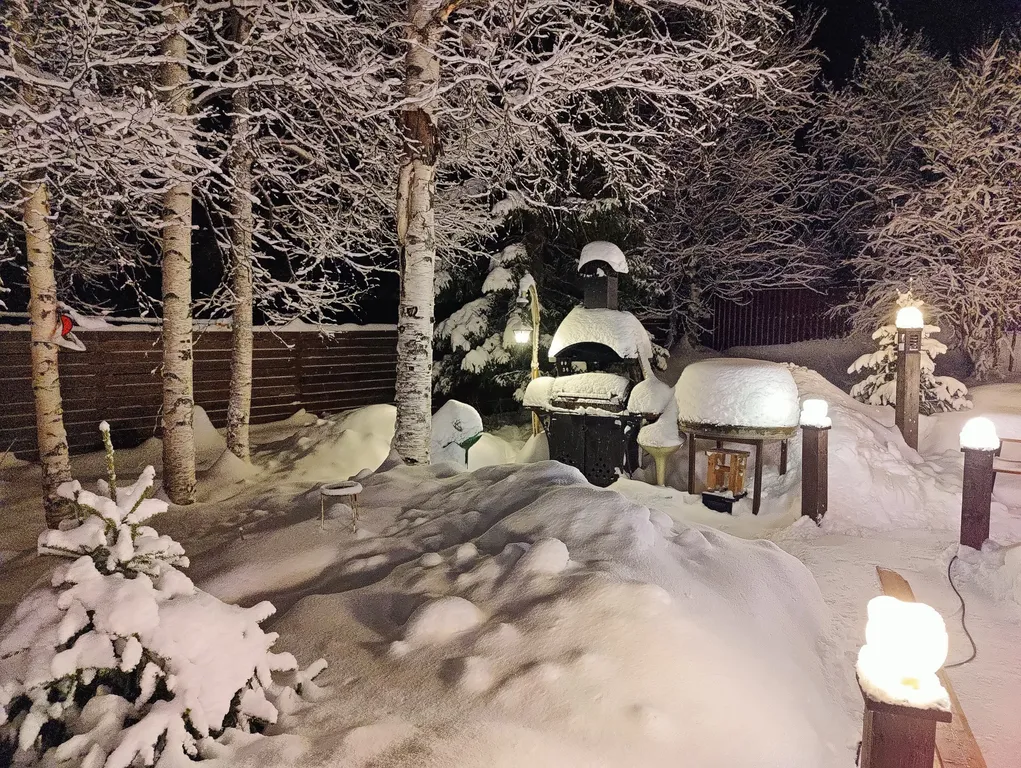 ХибиныДача Сруб