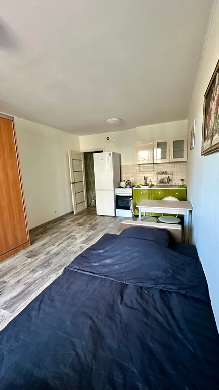 Уютная студия в спальном районе