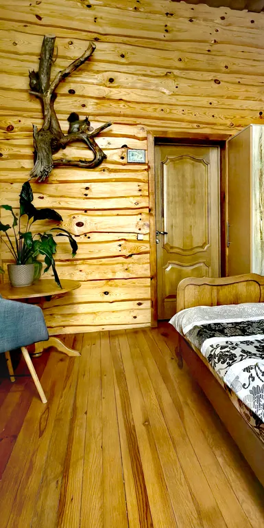 Дом в Беловежской пуще