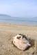 Яна