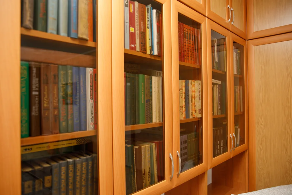 Светлая 2-комнатная квартира с библиотекой на Студенческом бульваре у ПетрГУ