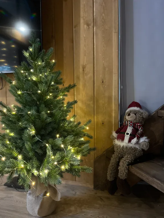 Дом отдыха Чернаков с видом на лес