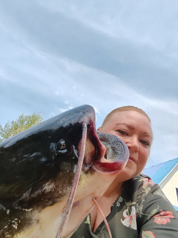 Дом у слияния рек, рядом с историей