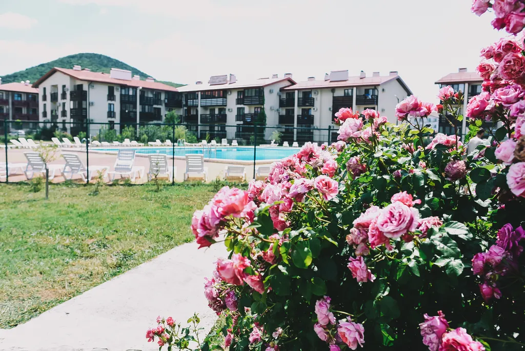 Солнечная Студия Сукко