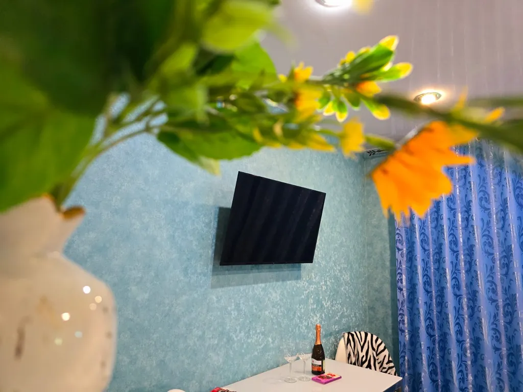 Уютные апартаменты