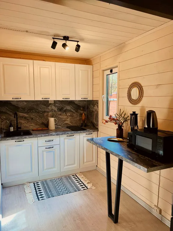 Дом в елях с финской сауной