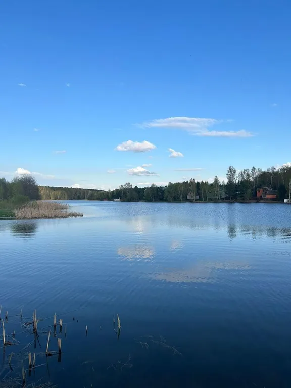 Уютный дом в стиле барнхаус