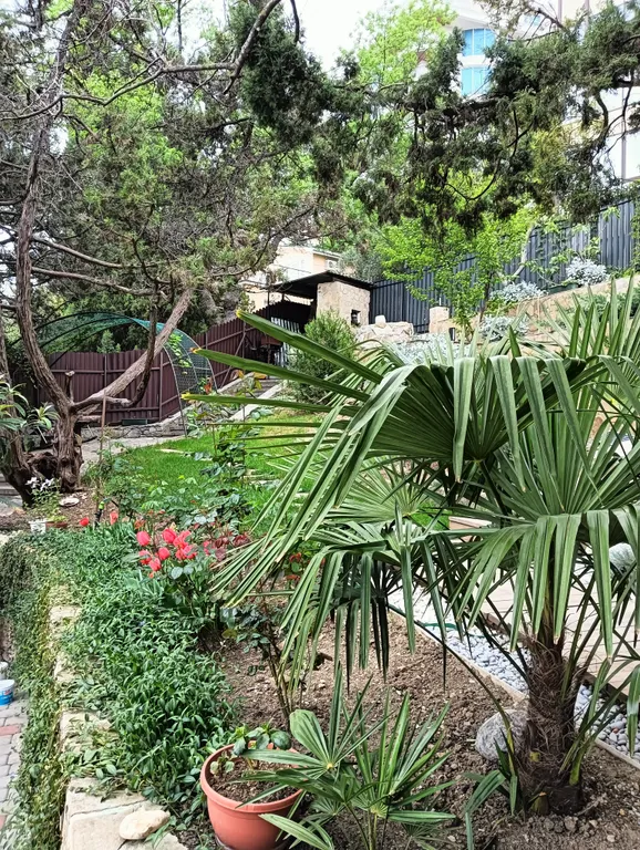 Апартамент в шаговой доступности от лучшего пляжа