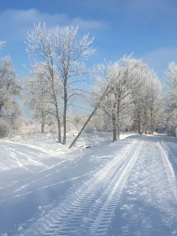 Дом с баней на дровах и камином у пяти озер